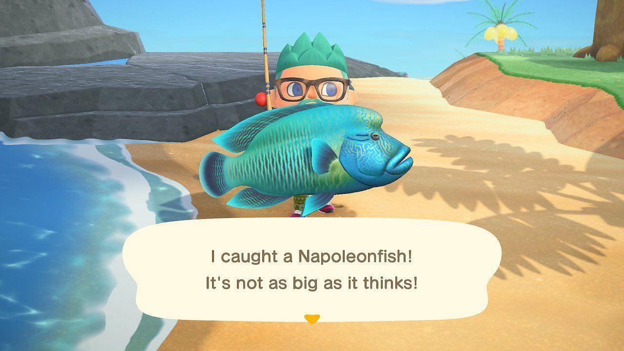 The Napoleonfish is now available (Image via Nintendo)
