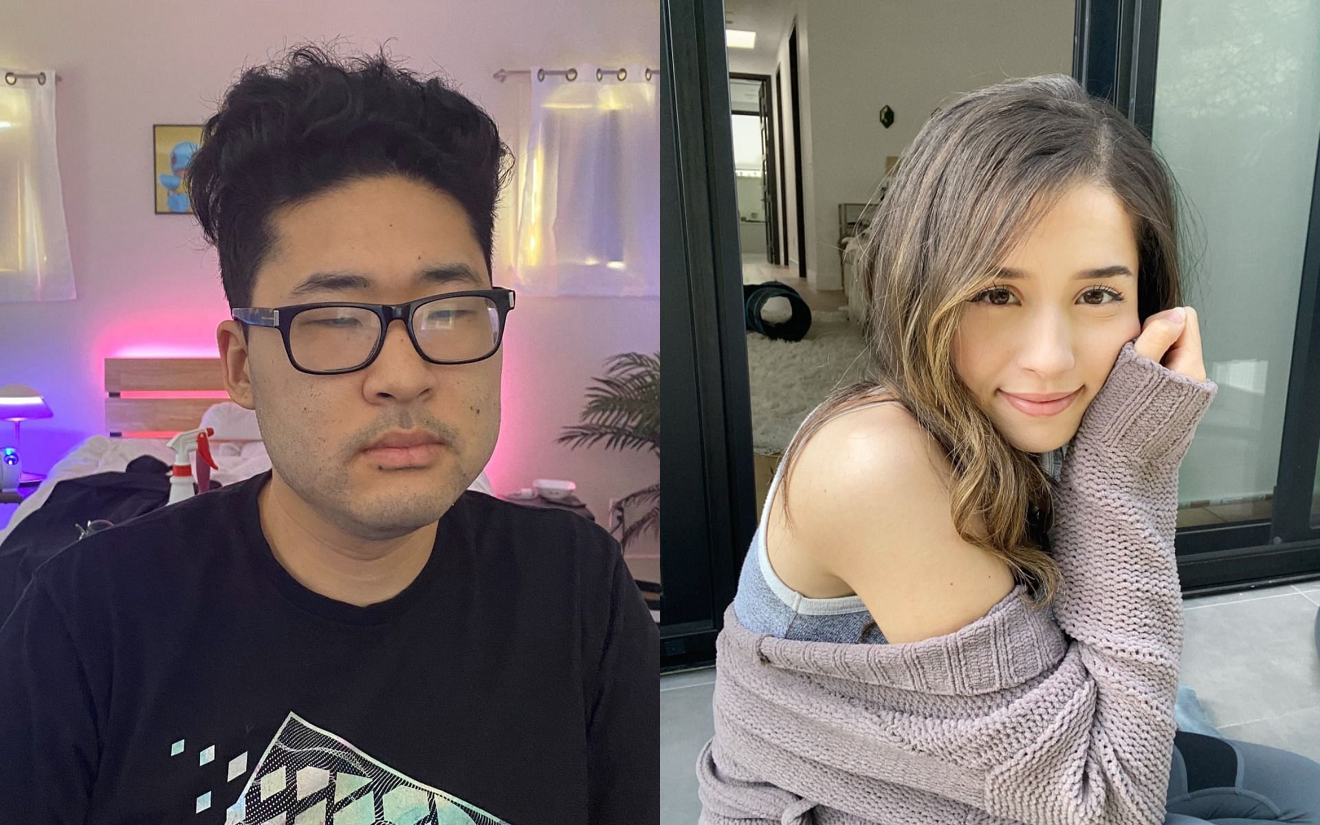 peterparkTV discussed Pokimane&#039;s past mistakes (Images via fuslie, pokimanelol/Twitter)