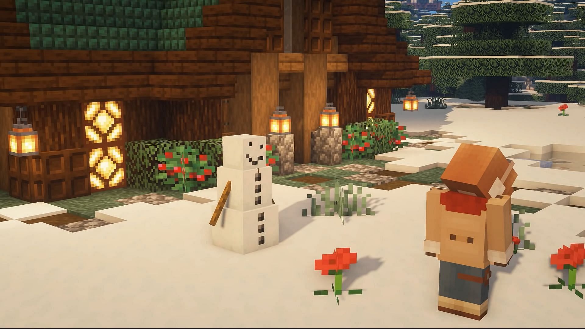 A Winter House Minecraft Map