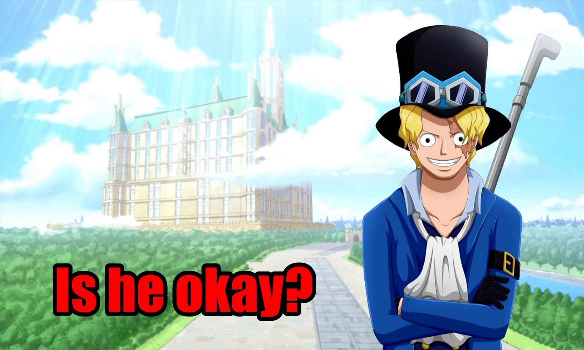 Episode of Sabo, One Piece Wiki