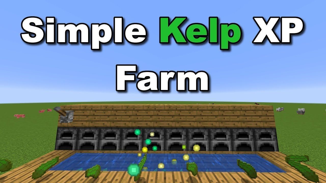 Kelp farms can seemingly run forever (Image via Mojang)