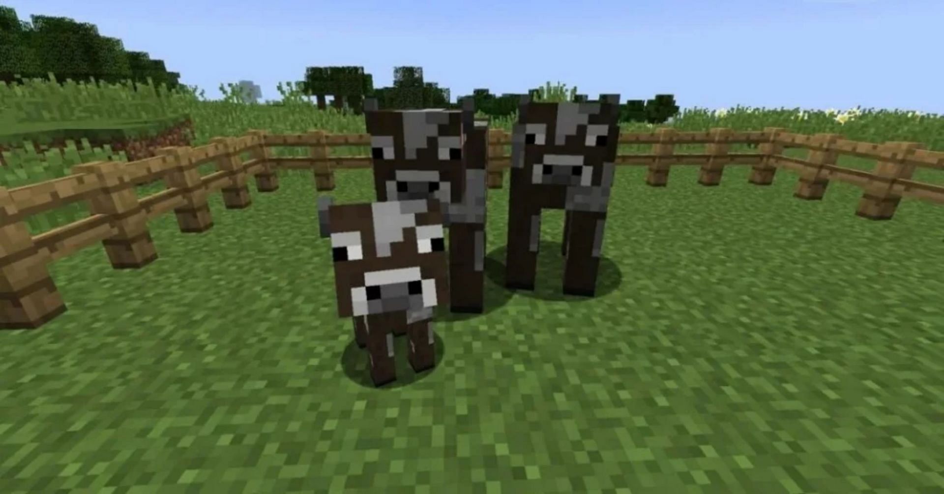 Top 3 animals easiest to breed in Minecraft 