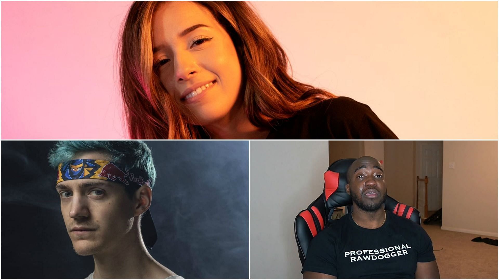 Pokimane delves into the JiDion and Ninja drama again (Image via Sportskeeda)