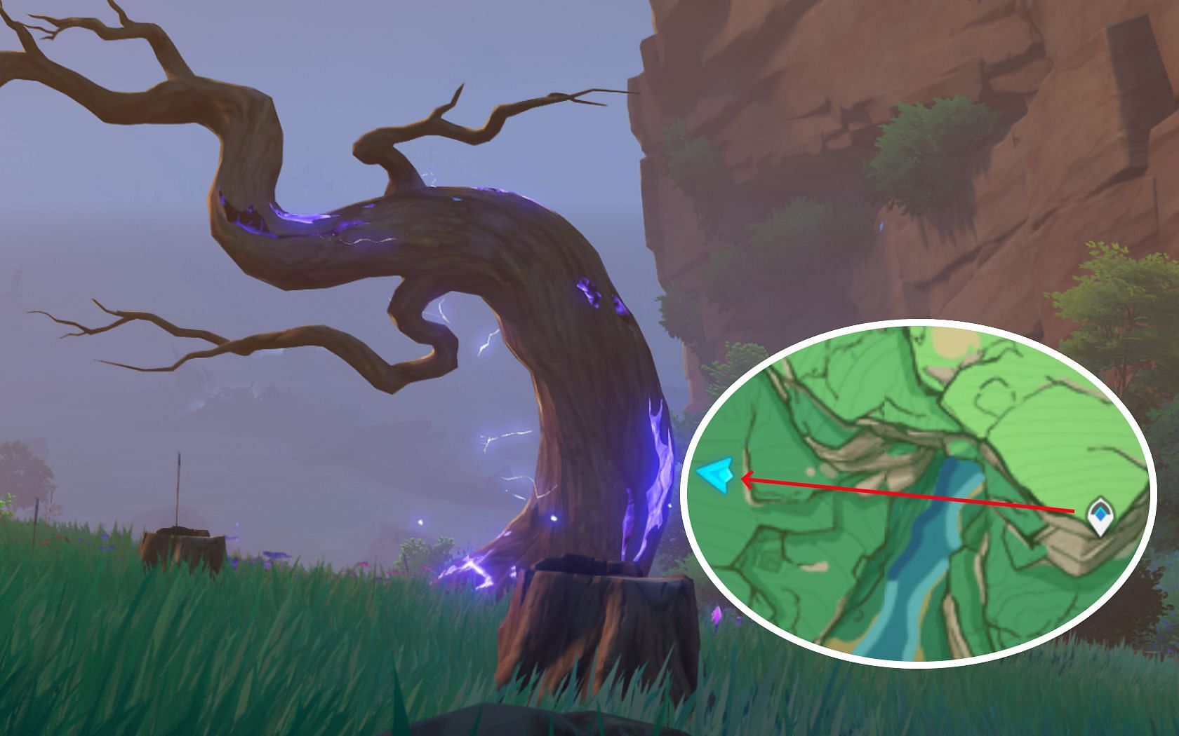 The fifth tree&#039;s location, along with a map of where to find it (Image via Genshin Impact)