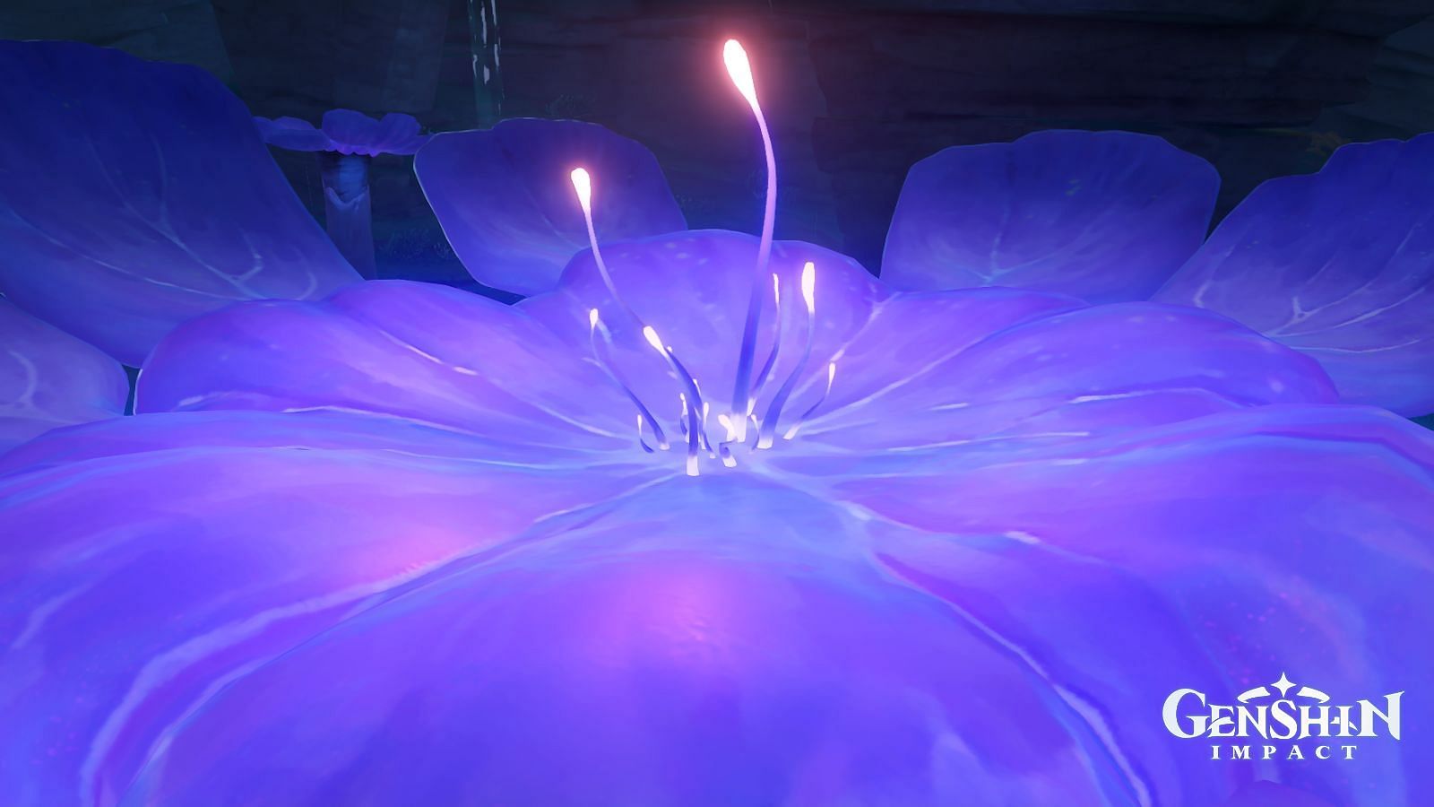 The top of the Dragonborne Flower (Image via Genshin Impact)