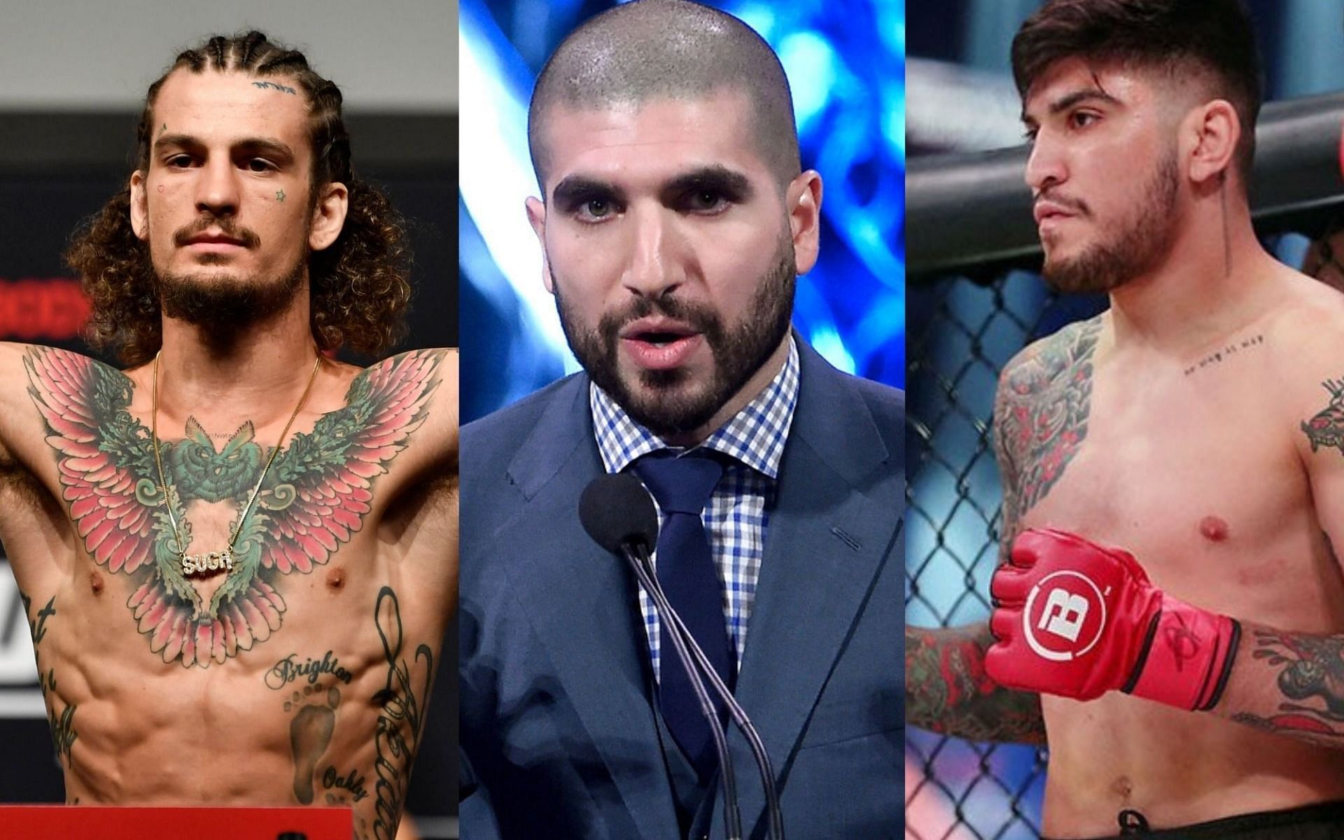 Sean O&#039;Malley reacts to Twitter beef between Ariel Helwani and Dillon Danis