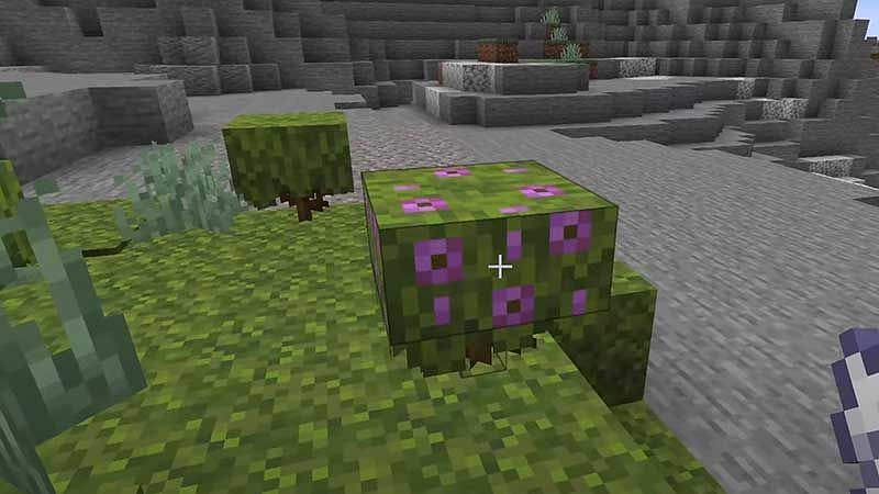 Azalea bushes (Image via Minecraft)