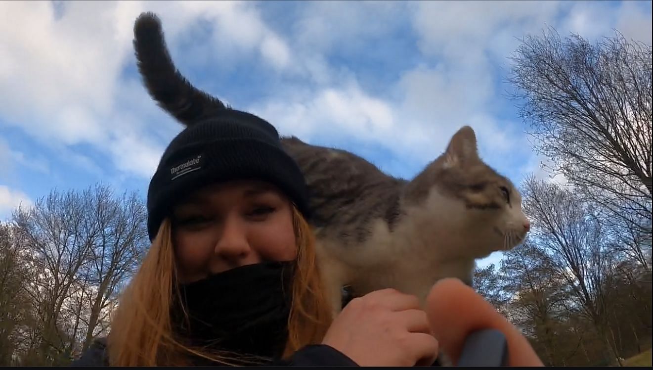 LiniWalks ran into a cat that took an immediate liking to her during IRL stream. (Image via LiniWalks, Twitch)