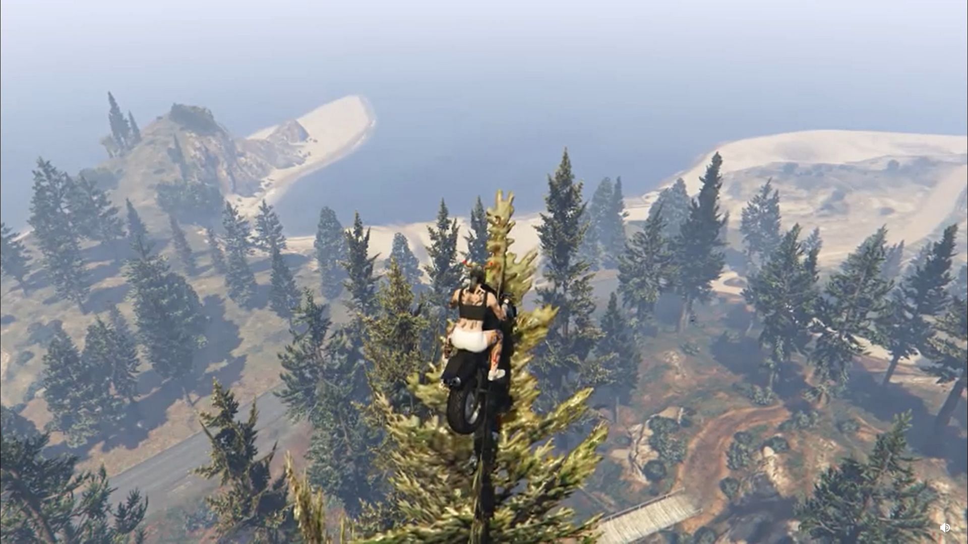 GTA Online player just casually sitting atop a tree on a motorbike (Image via Sportskeeda)
