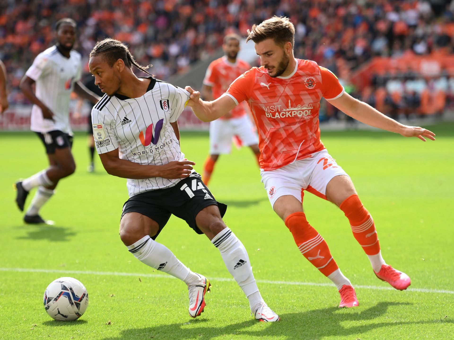 Fulham play host to Blackpool on Saturday