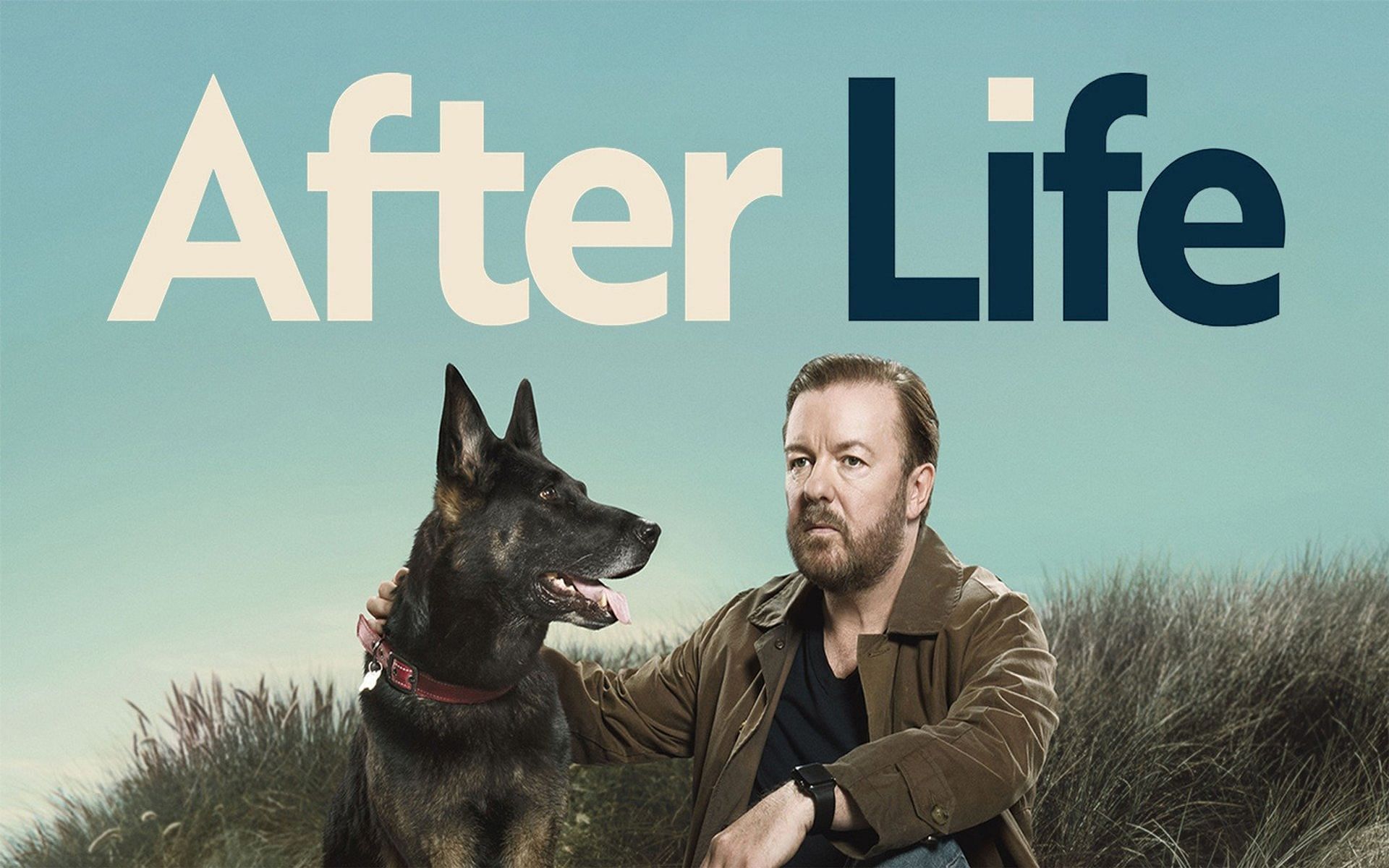 Netflix&#039;s poster for After Life Season 3 (Image via Netflix)