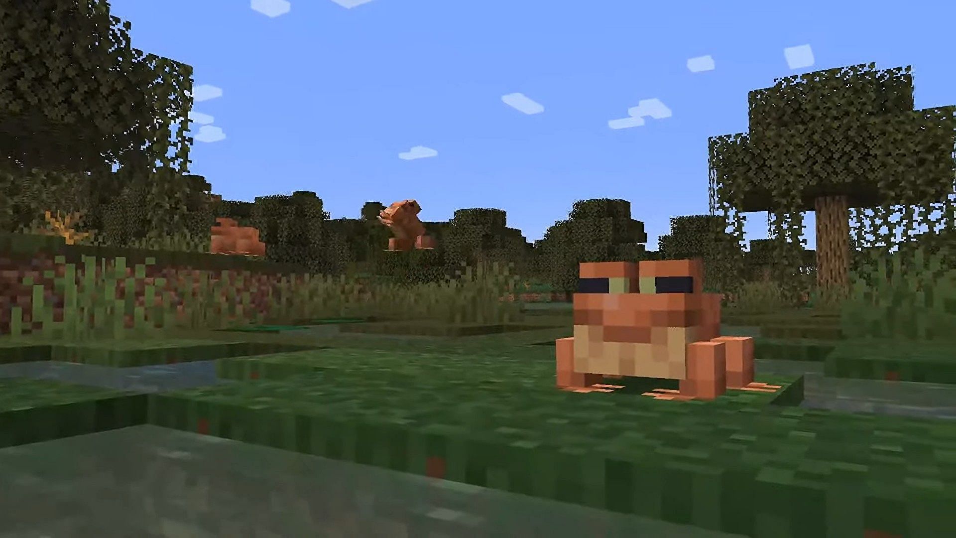 Frogs are a highly anticipated addition to the game (Image via Minecraft)