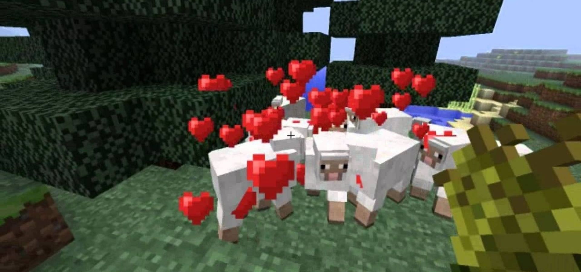 Feeding animal mobs typically places them in love mode to reproduce (Image via Mojang)