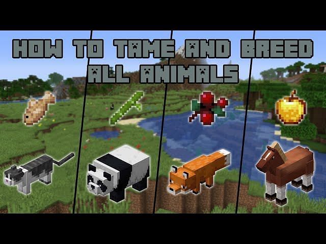 5-most-commonly-eaten-food-items-by-minecraft-mobs