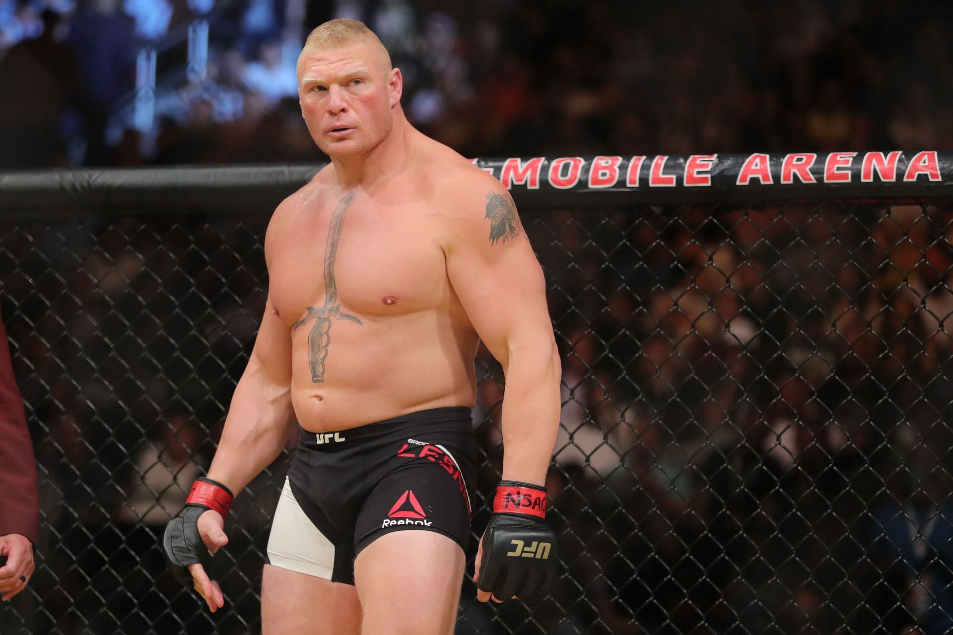 Overeem defeated Lesnar via first-round TKO