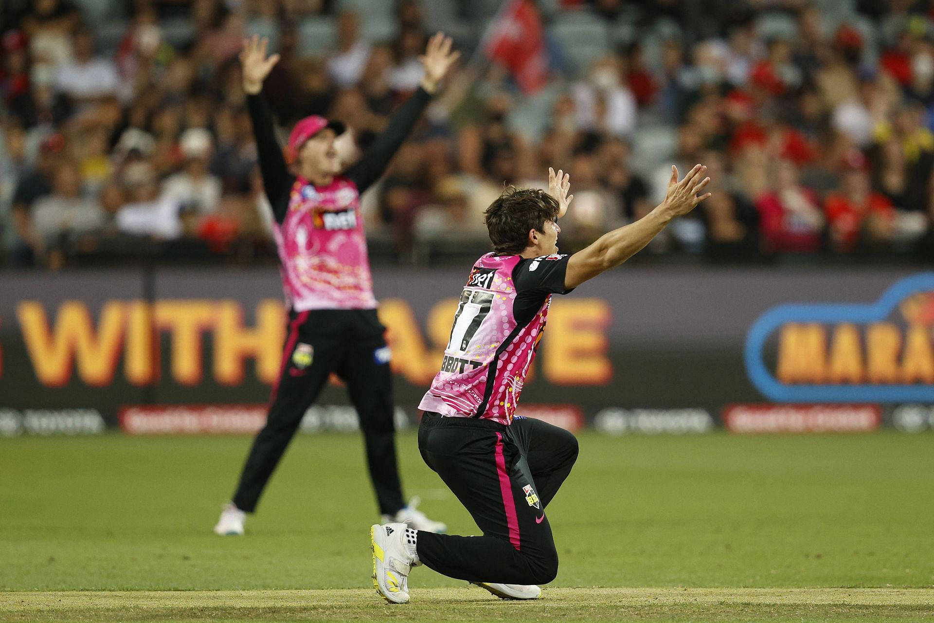 Sydney Sixers have looked strong as usual in this season