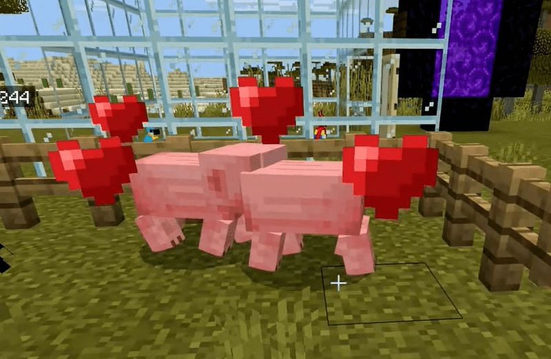 Pigs breeding (Image via Minecraft)