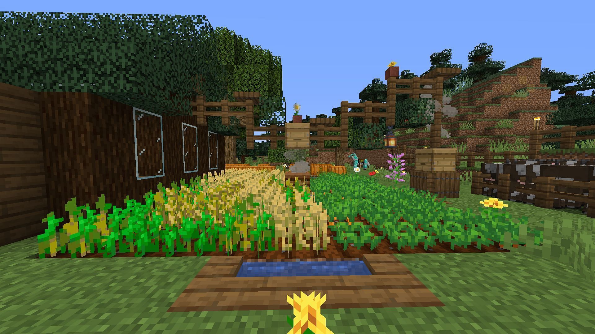 Crop farming (Image via Minecraft)