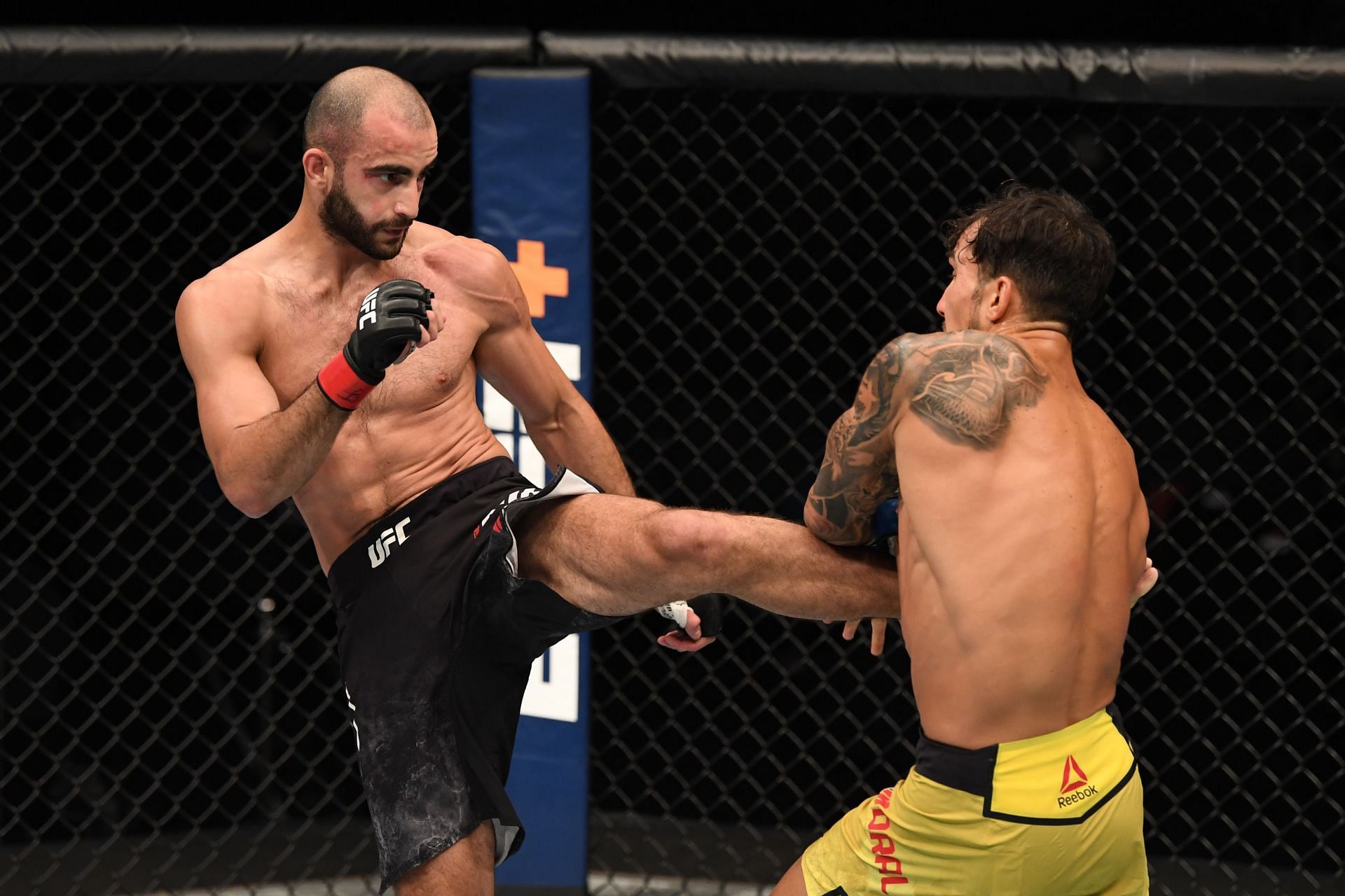 Giving Giga Chikadze would make sense from a sporting perspective if he beats Calvin Kattar