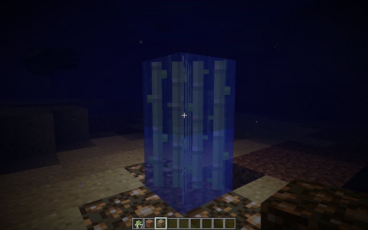 Underwater air pocket with sugarcane (Image via u/fuzzywuzzywuzabear Reddit)