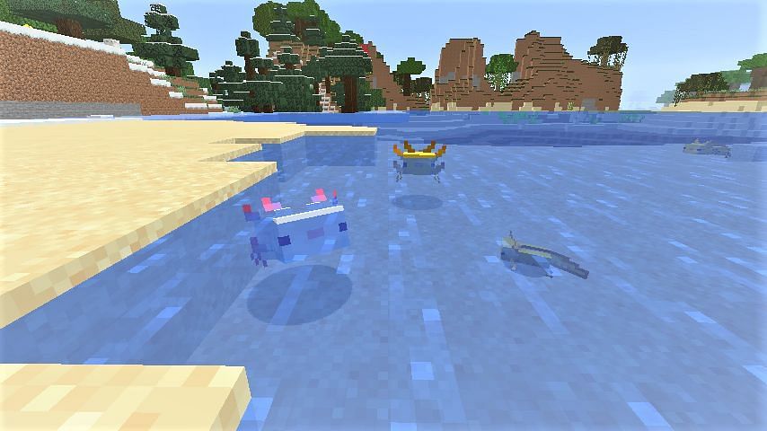 Axolotls (Image via Minecraft Wiki)