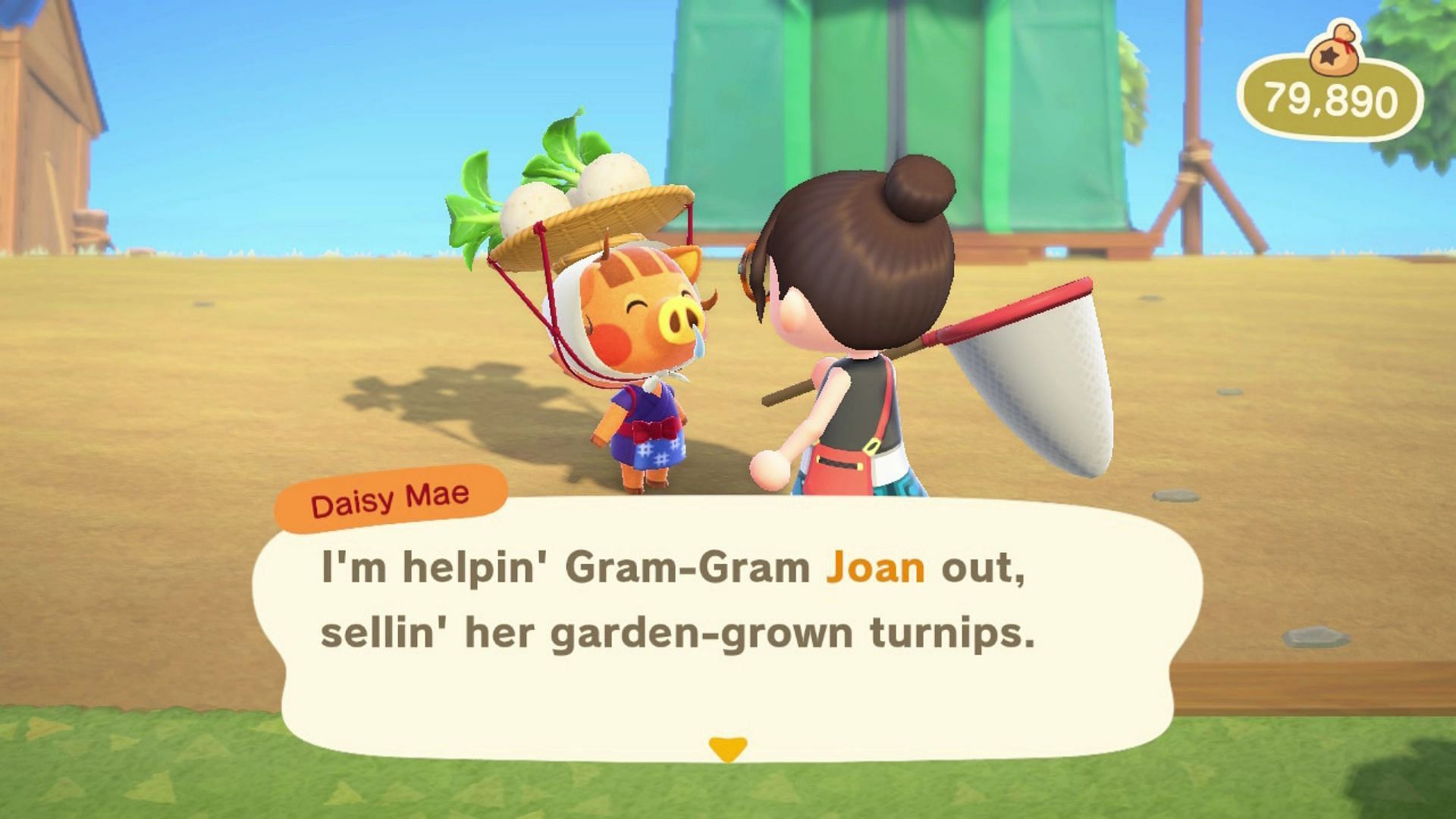 Daisy Mae has taken over from her grandma to sell the turnips (Image via Nintendo)
