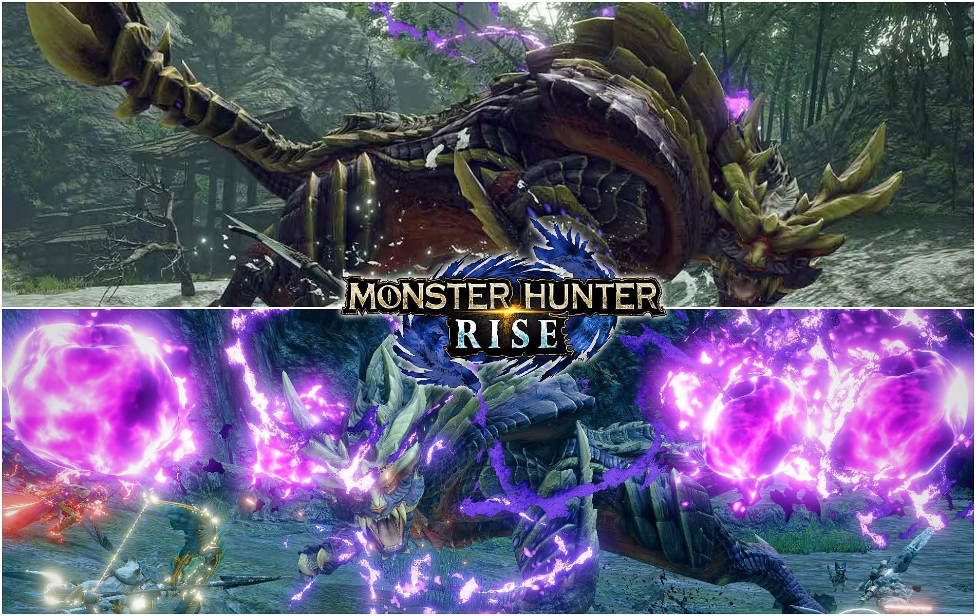 Monster Hunter Rise: PC vs Switch Comparison