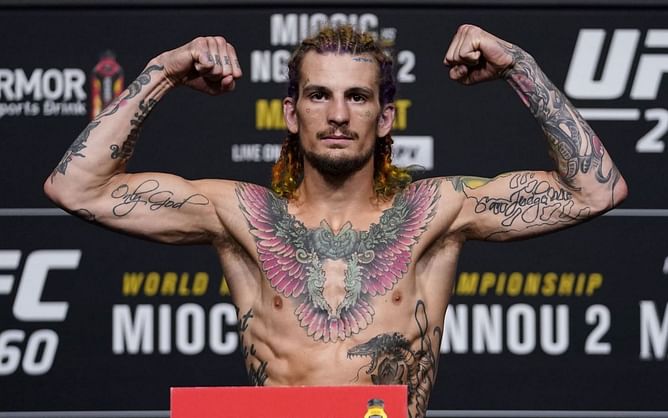 Watch: Sean O'Malley gets punched in the gut after he fails to answer a question related to the UFC