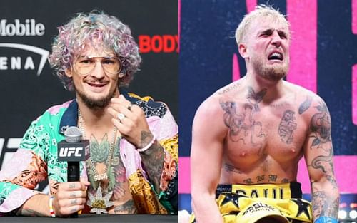 Sean O'Malley (left) and Jake Paul (right)