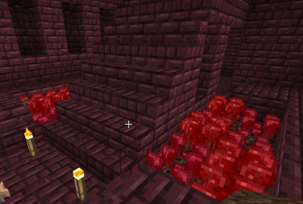 Nether Wart in Nether Fortress (Image via Minecraft)