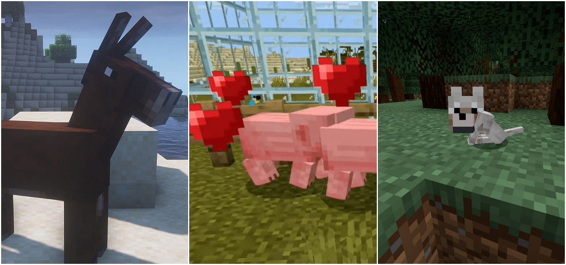 Minecraft mobs which players can breed (Image via Minecraft)