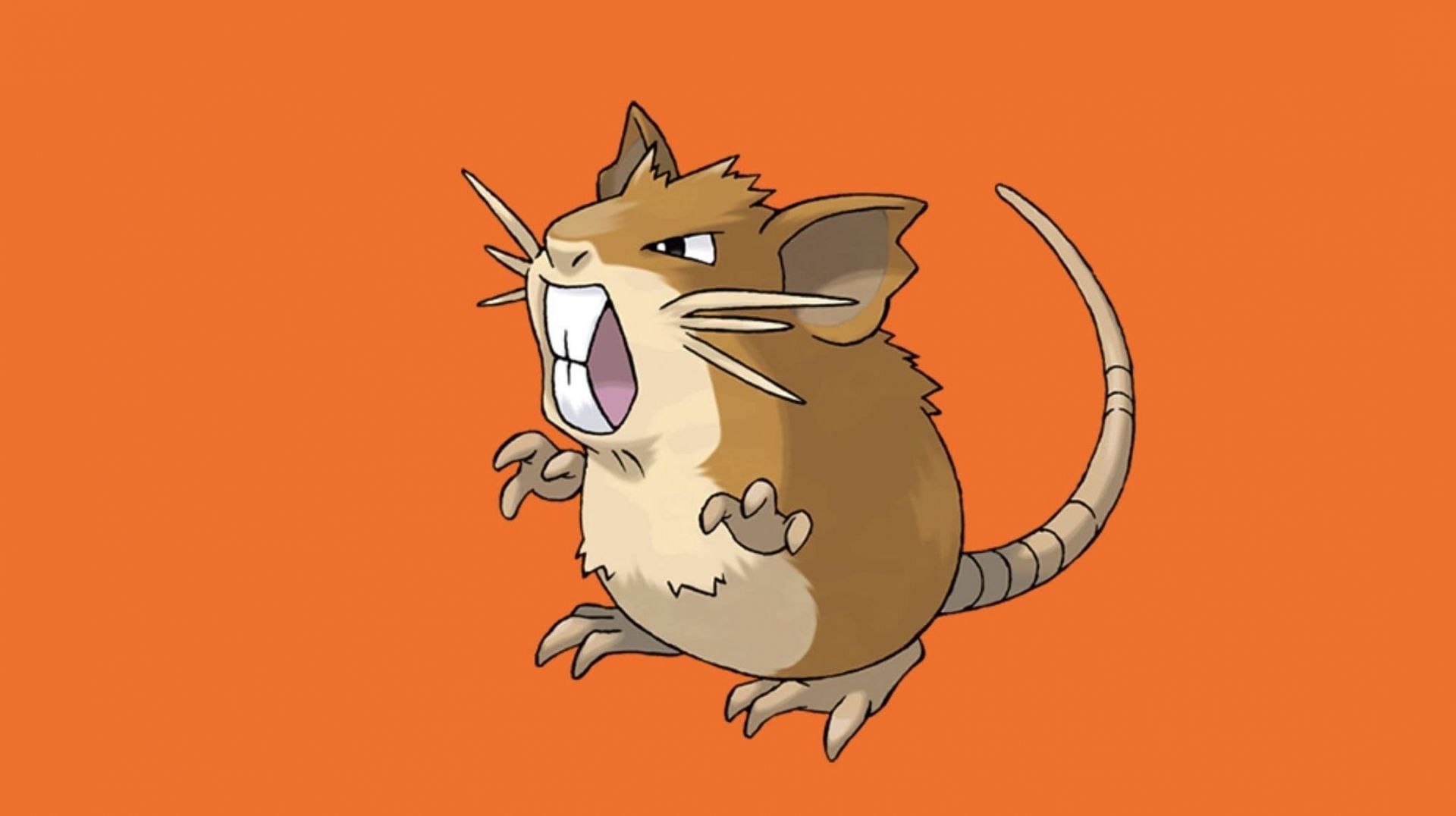 Random pokemon. Raticate 3d.