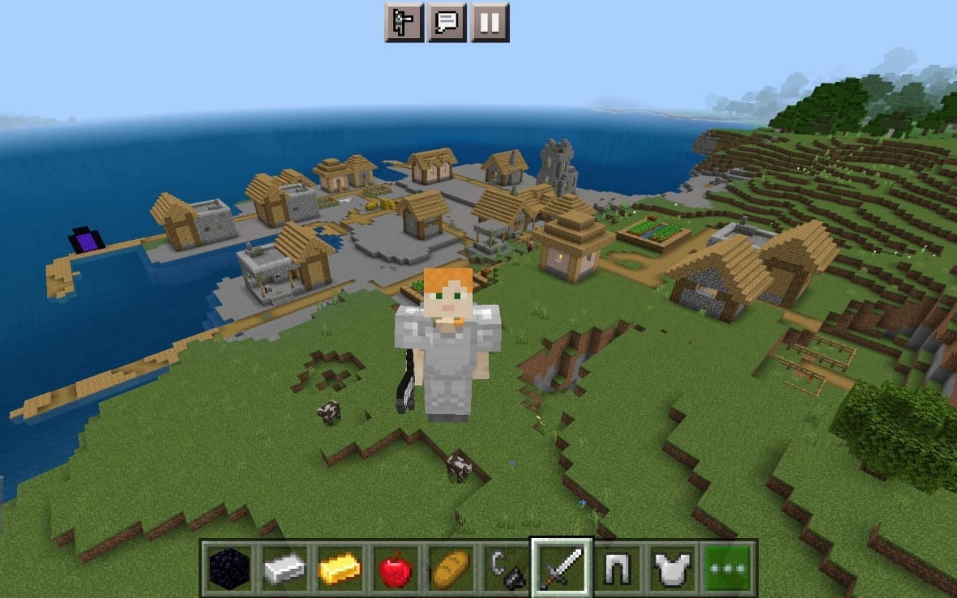 This village is enough to complete the game (Image via Minecraft)