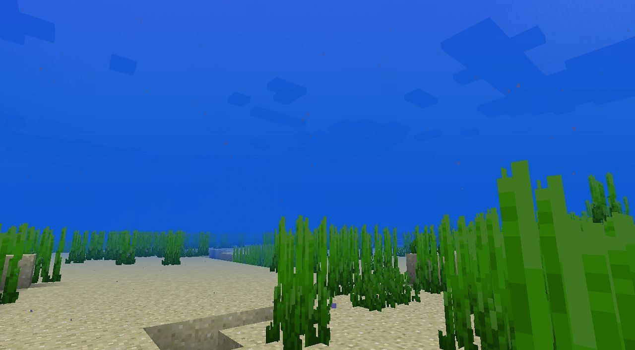 Deep oceans feature structures like ocean monuments (Image via Mojang)