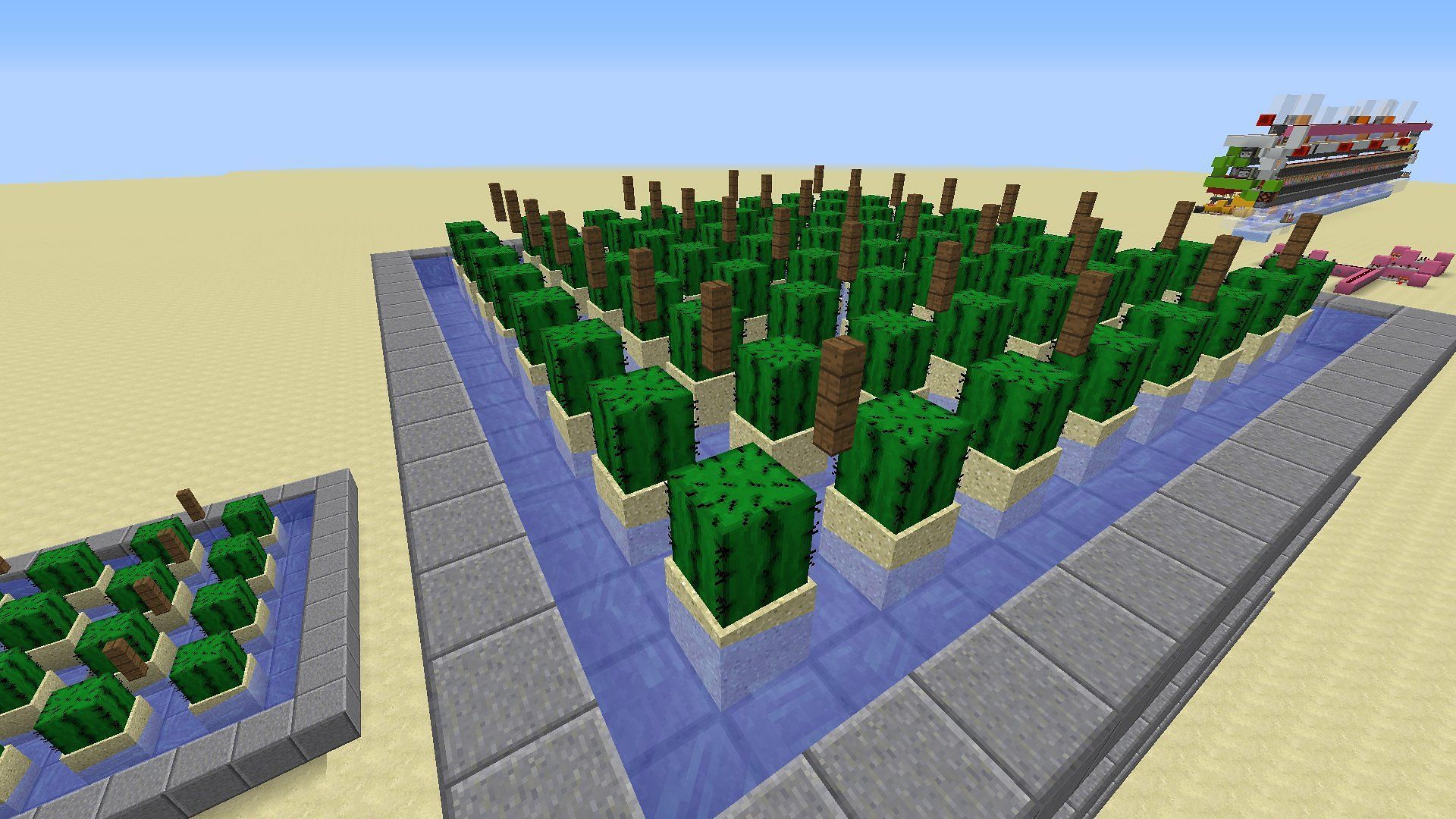 An automated cactus farm featuring plenty of sand (Image via Mojang)