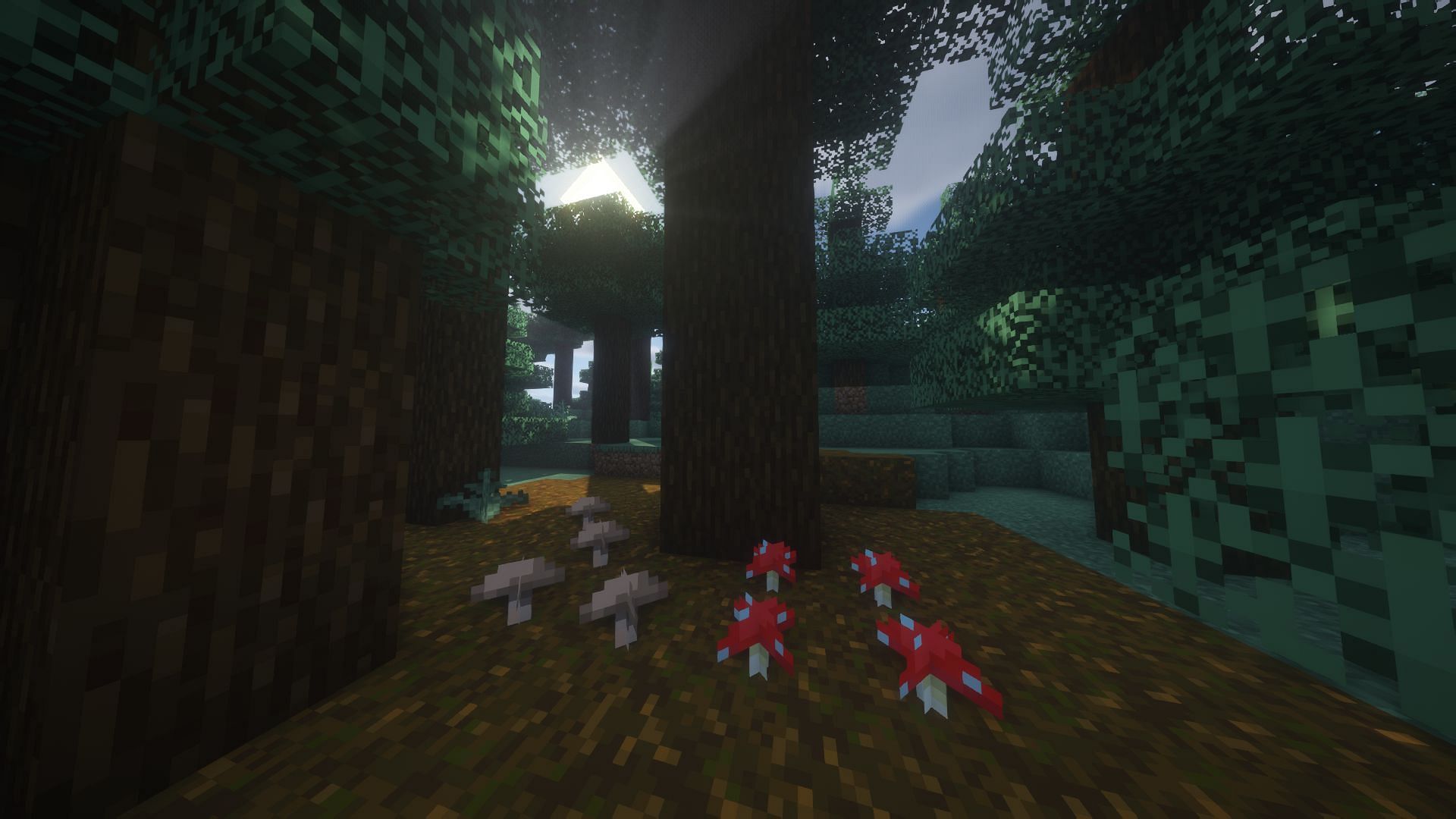 Mushrooms in an Old-growth taiga biome (Image via Minecraft)