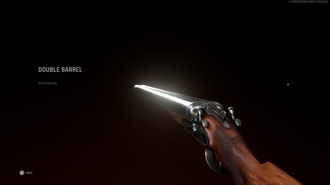 A look at the Double Barrel shotgun (Image via Activision)