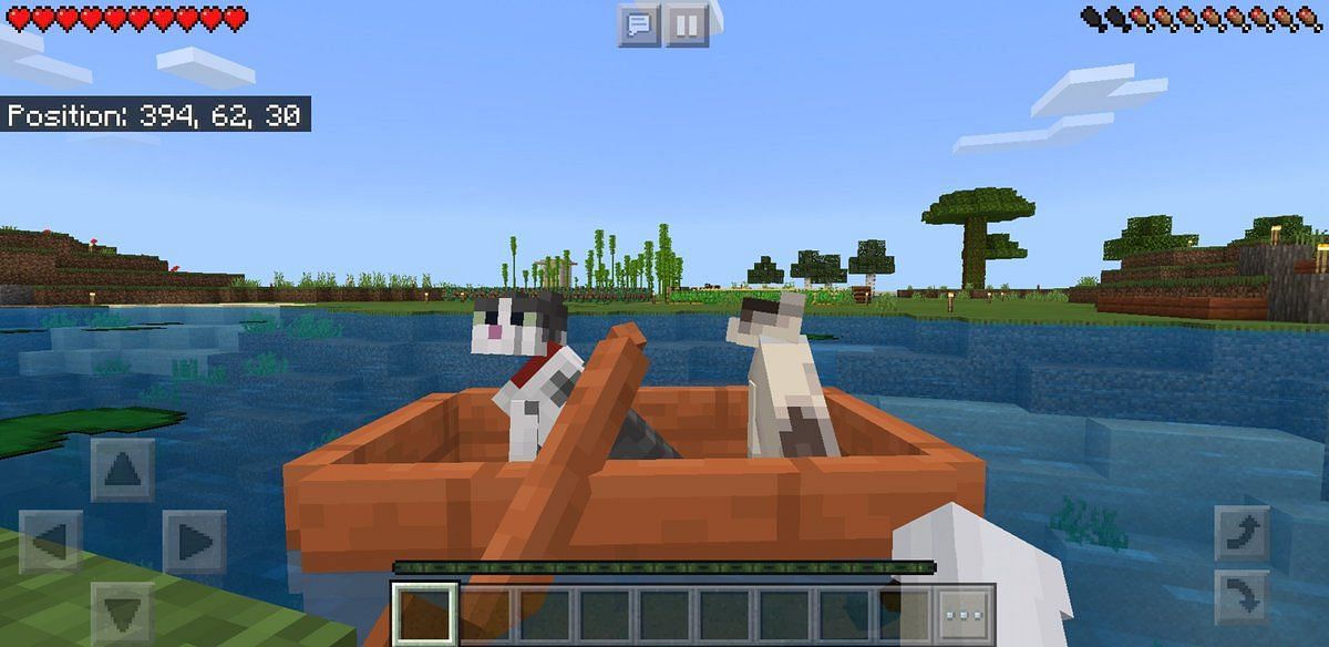 Cats can ride in boats to get home safely (Image via Minecraft)