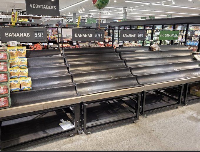 Why are grocery store shelves empty? Shortage explained as Twitter