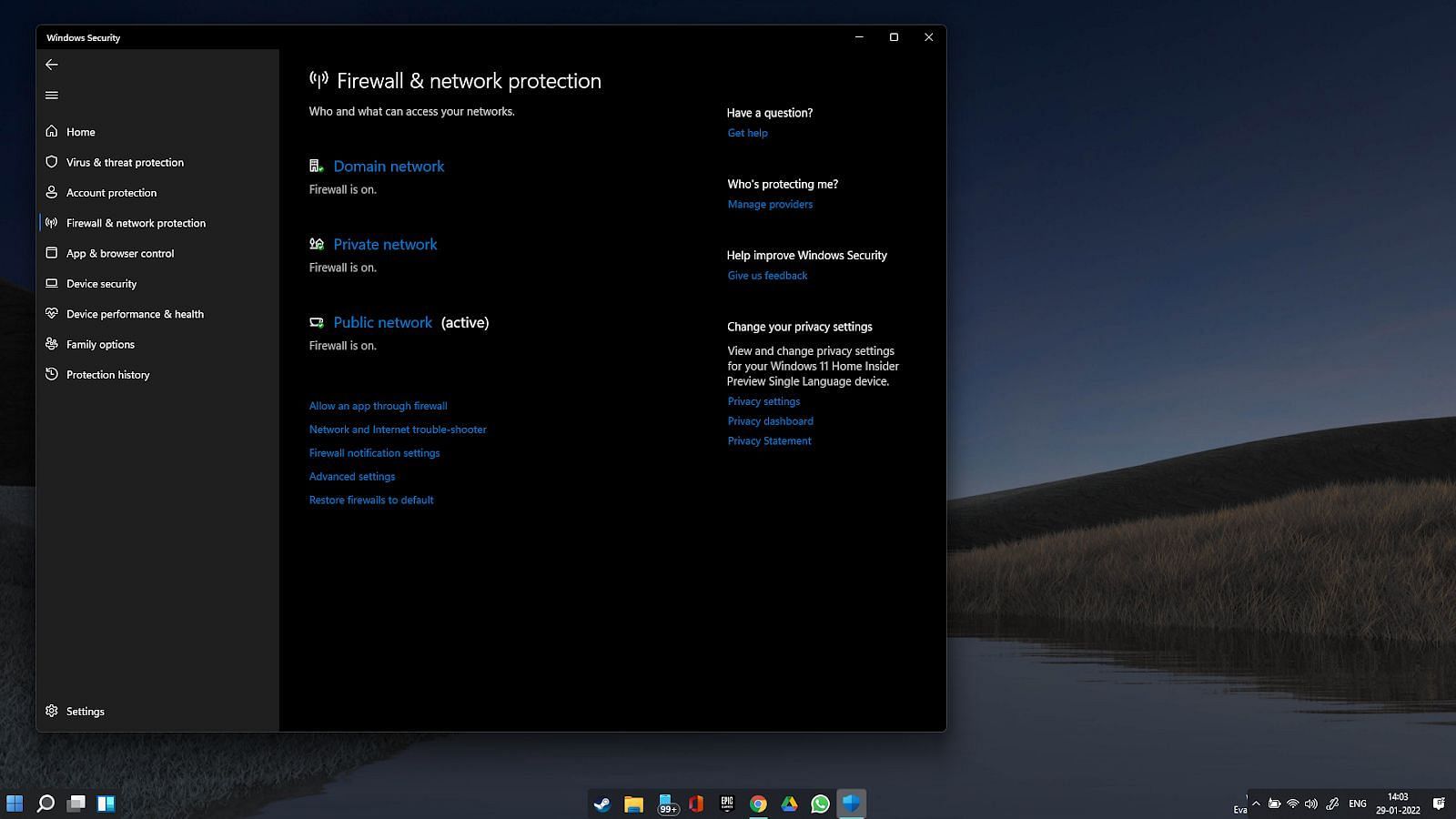 Disabling firewall protection for the game (Image captured from Windows 11 desktop)