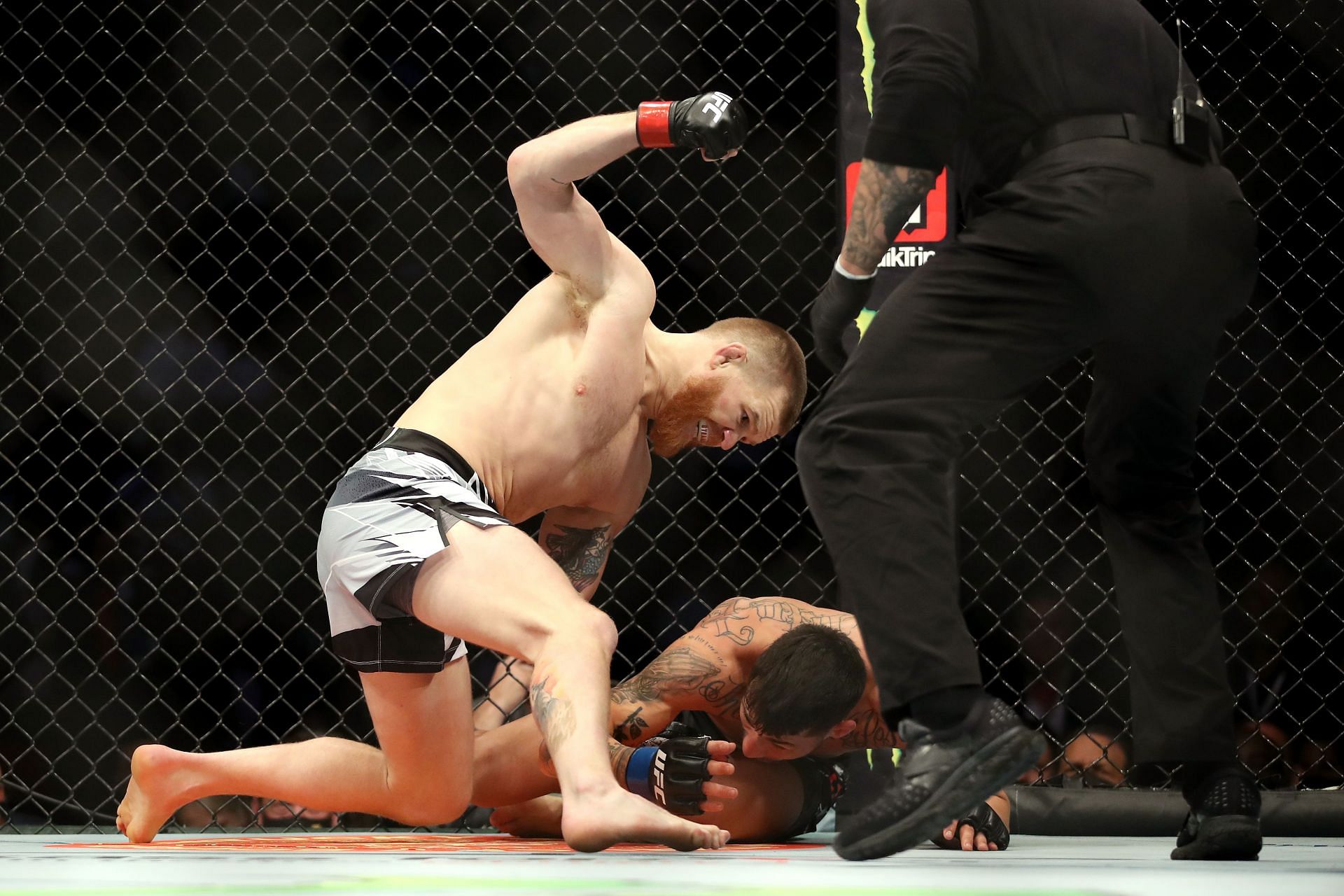 Matt Frevola. Мэтт Фревола Билли кураантилло. Anaheim Honda Center UFC.