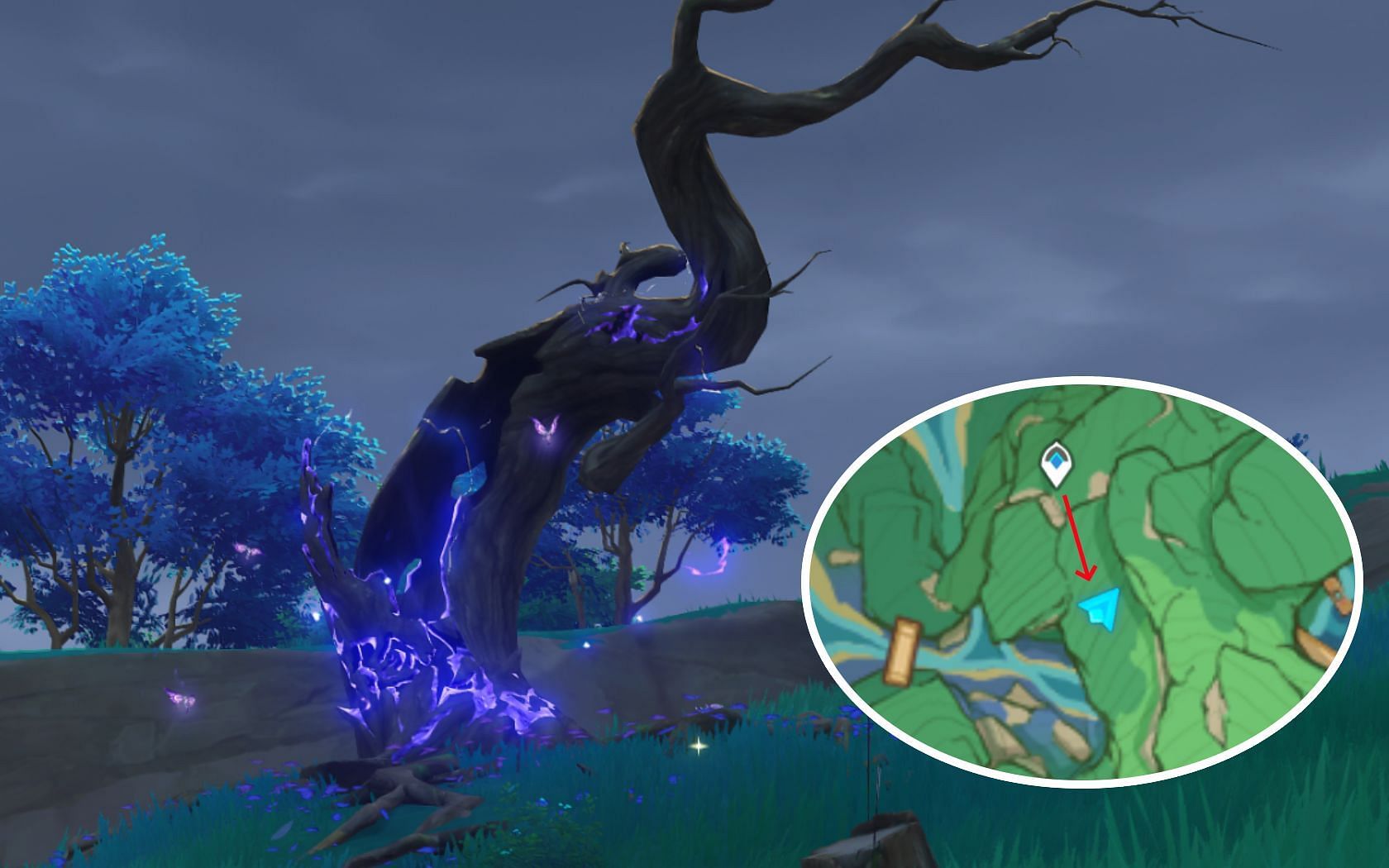 The fourth tree&#039;s location, along with a map of where to find it (Image via Genshin Impact)