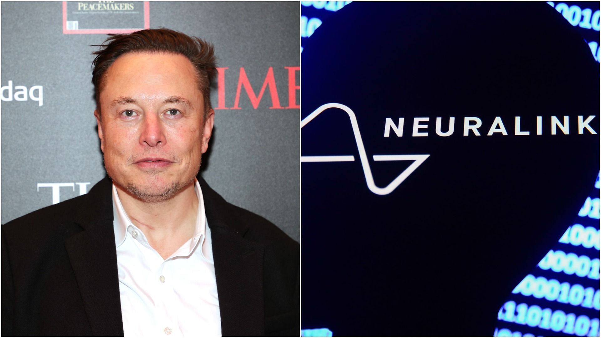 Elon Musk&#039;s brain chip company is now preparing for human trials (Images via Theo Wargo and Jakub Porzycki/Getty Images)