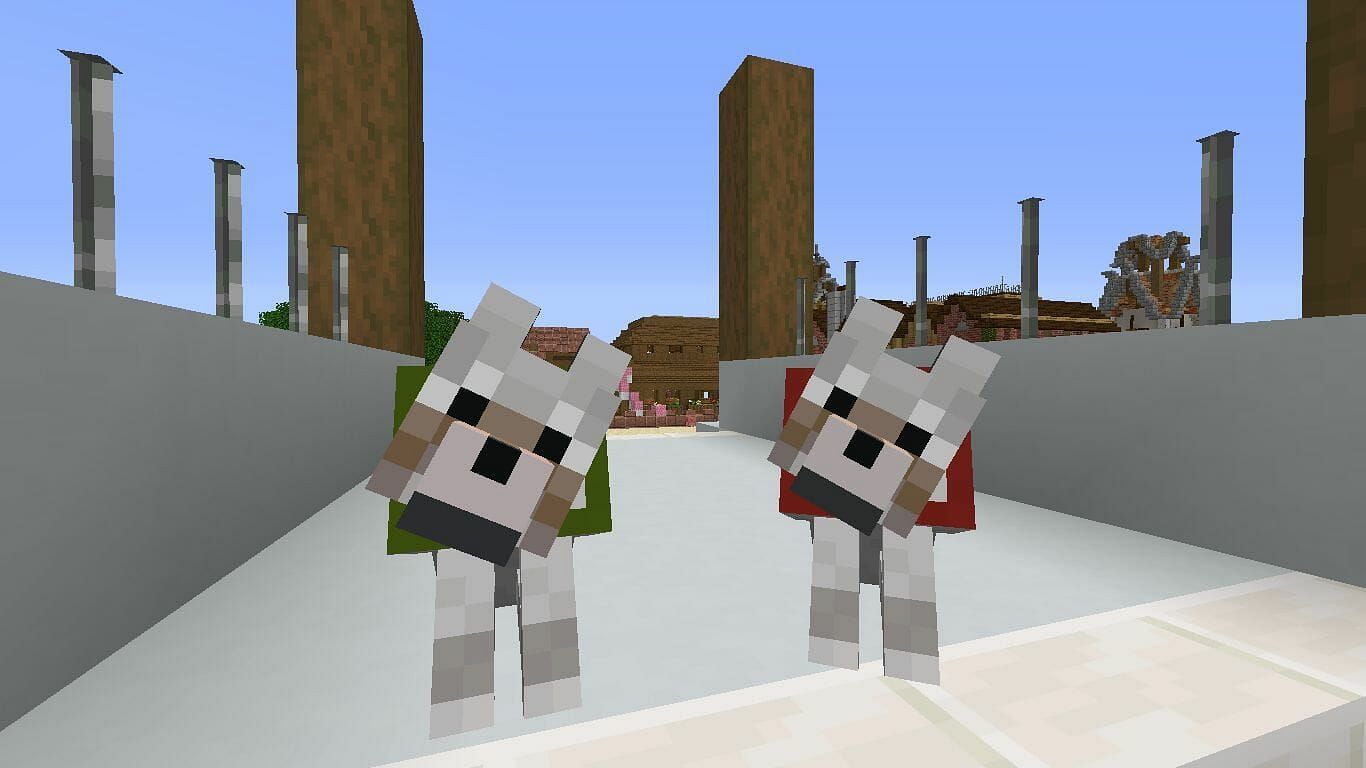 Wolves are the most commonly tamed mob in the game (Image via Minecraft)