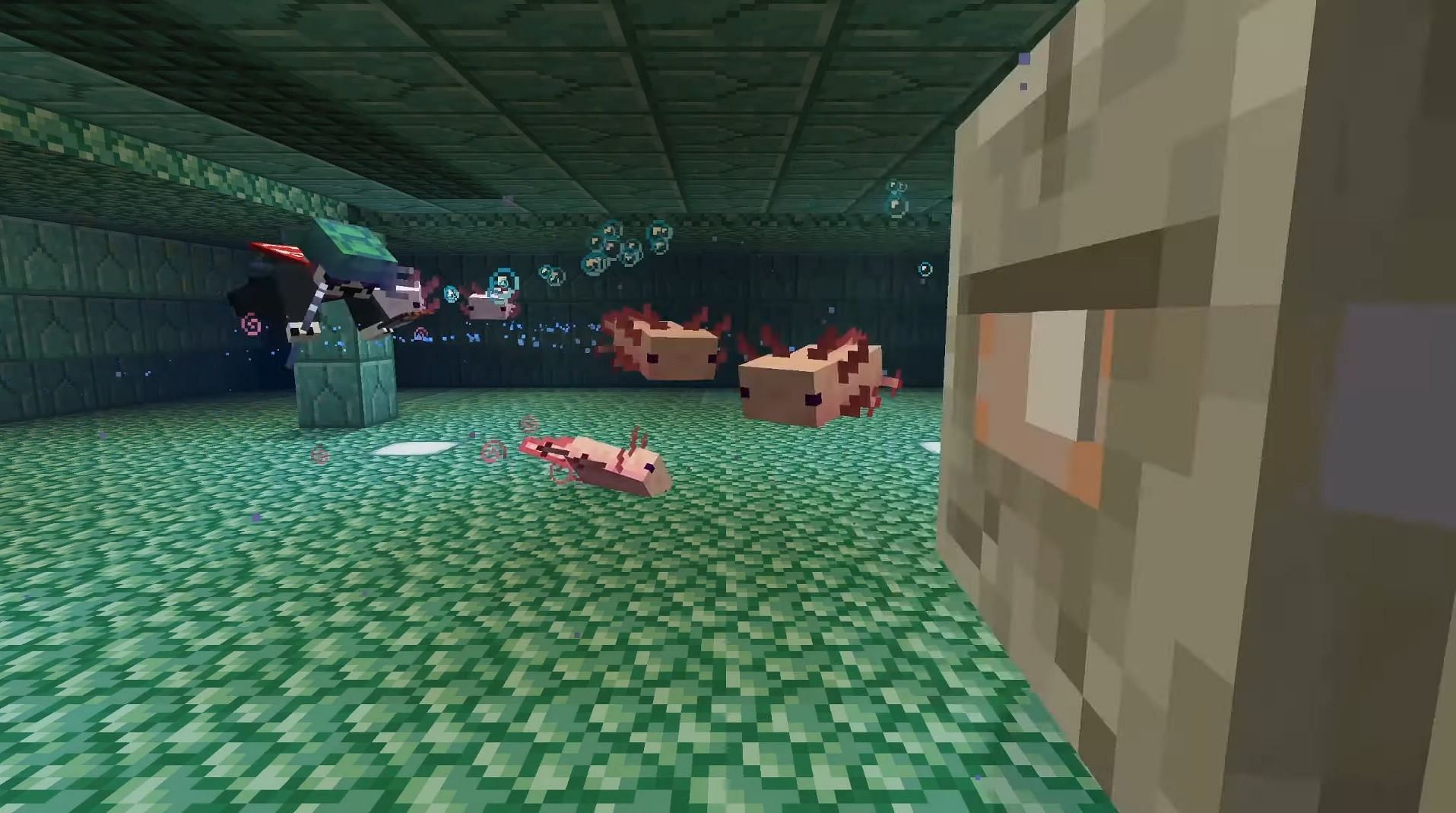 The player and axolotls attacking an elder guardian (Image via Mojang)