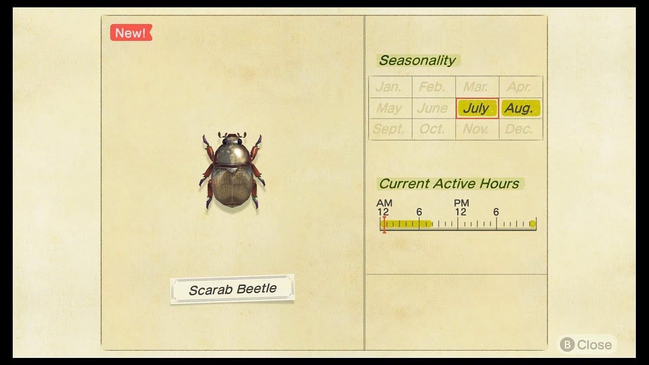 Scarab beetles are available in the Southern Hemisphere (Image via Nintendo)