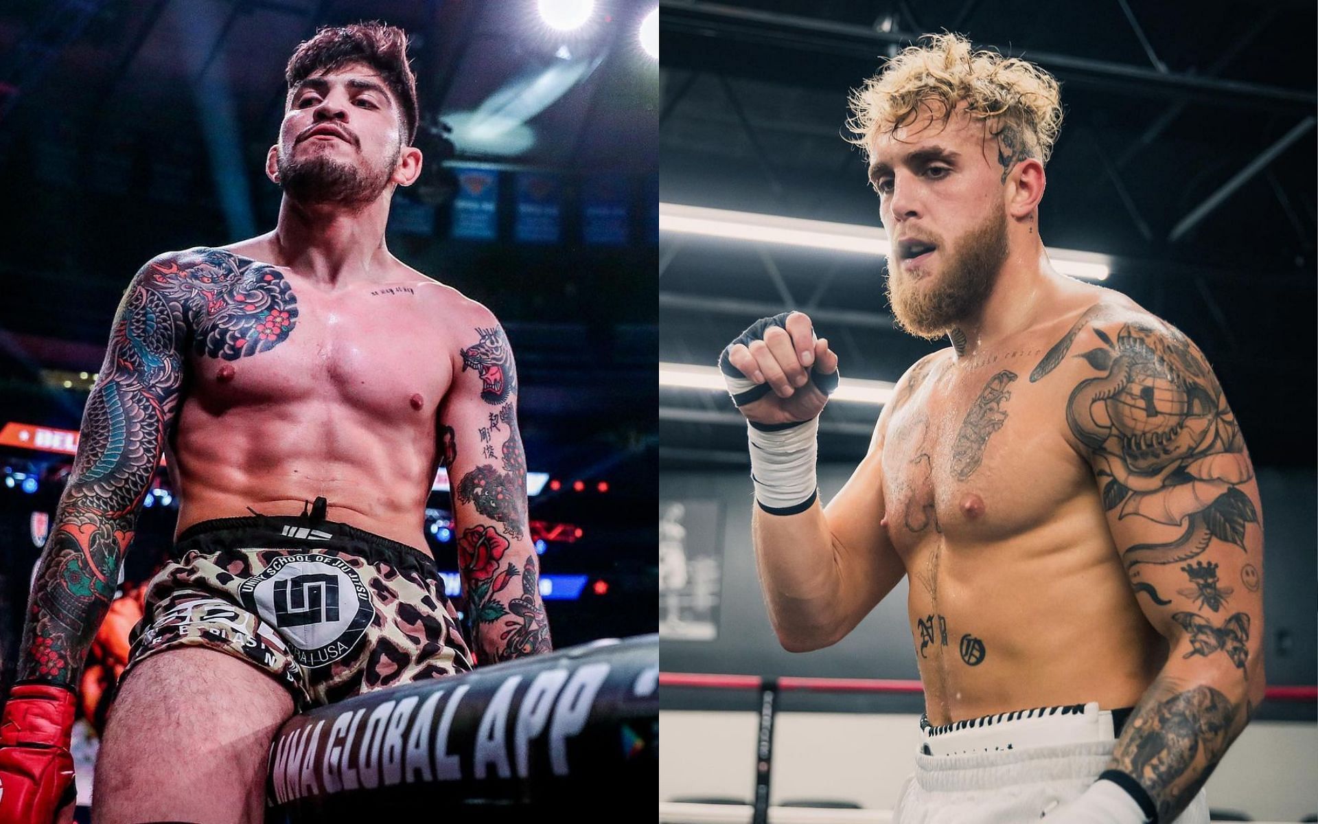 Dillon Danis (left) and Jake Paul (right) [Image Courtesy: @dillondanis and @jakepaul on Instagram]