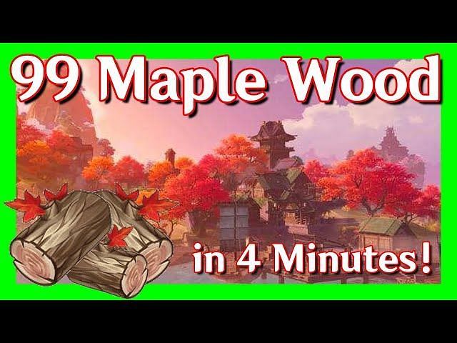 Genshin maple wood Genshin Impact: