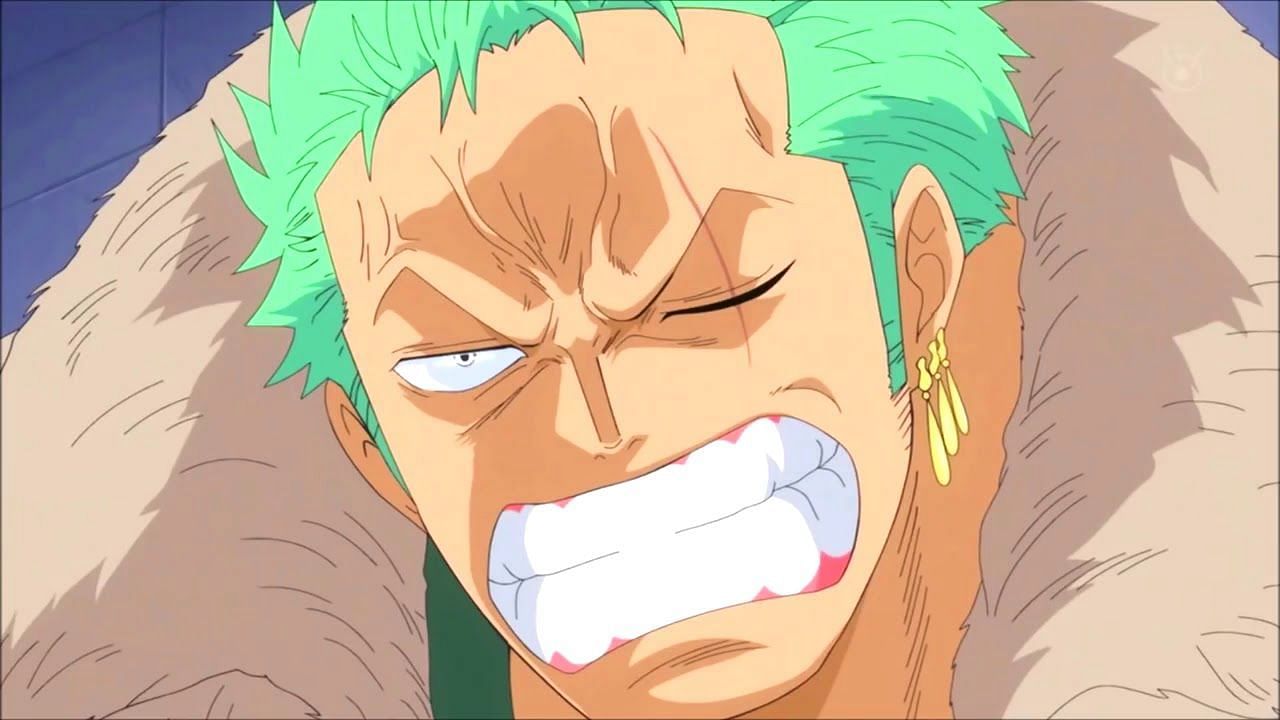 Roronoa Zoro/Misc., One Piece Wiki