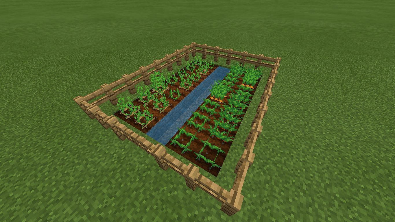 Crops are important to farm (Image via Mojang)